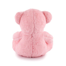 SOFT TOY TEDDY HEART LOVE